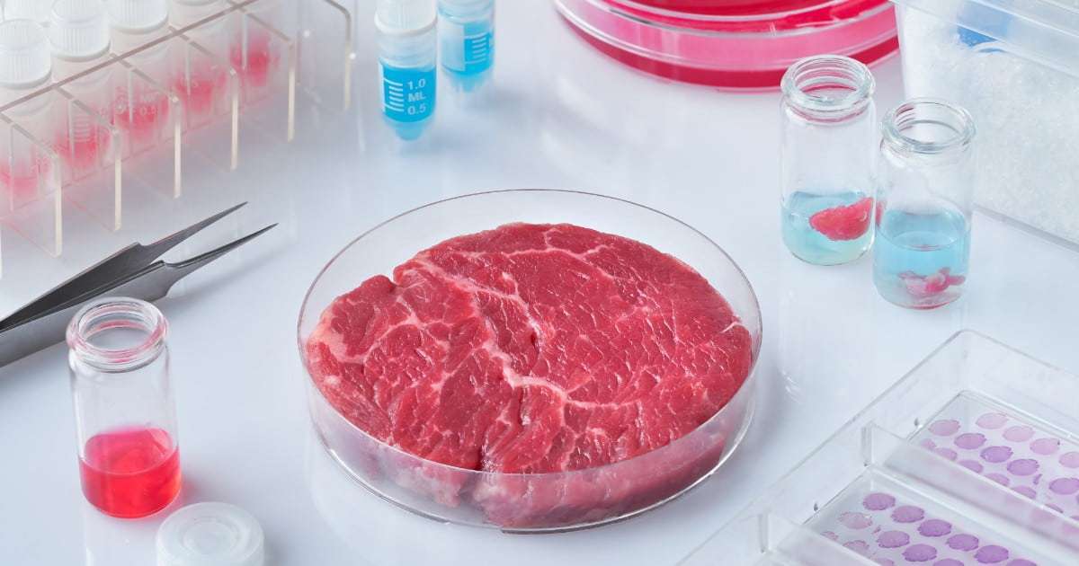 Carne sintetica, arriva il via libera definitivo al ddl: cosa prevede