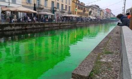 Attivisti di Extincion Rebellion tingono di verde i fiumi italiani: protesta per il fallimento della Cop28