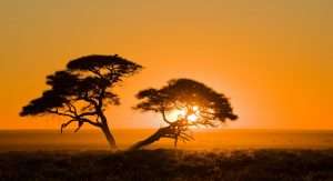 Piano Mattei per l’Africa, varato il Graf. Consentirà investimenti per 400 mln di euro in 5 anni