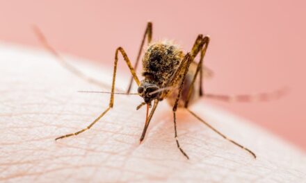 West Nile: nuovi casi e vittime in Italia. Aumentano i contagi nel Lazio e in Campania