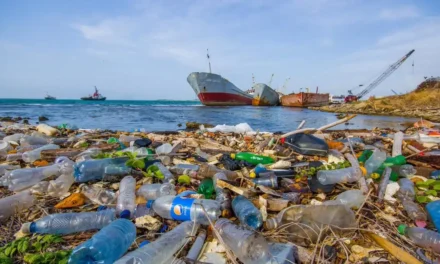 La plastica ci sommergerà. Fallito il sesto round dei negoziati di Ginevra