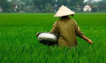 Dalla guerra dei dazi alla guerra dei campi, vietato alla Cina acquistare terreni Usa