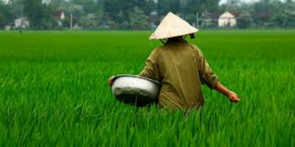 Dalla guerra dei dazi alla guerra dei campi, vietato alla Cina acquistare terreni Usa