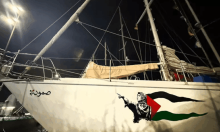 Laika sostiene Flotilla e colora le navi da Barcellona