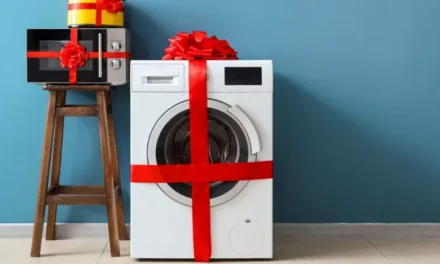 Bonus elettrodomestici 2025: come funziona il nuovo voucher, requisiti, importi e scadenze