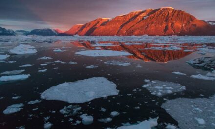 “Presto la Groenlandia”: un post social riaccende la tensione tra Stati Uniti e Danimarca