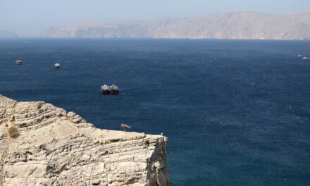 Stretto di Hormuz, traffico paralizzato dopo l’annuncio del blocco navale USA